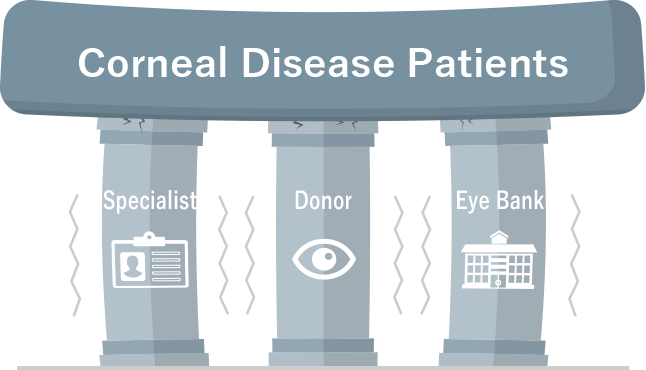 Conventional Corneal Transplantation Treatment