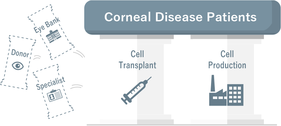 Cellusion's Proposed Solutions